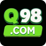 q98 game icon